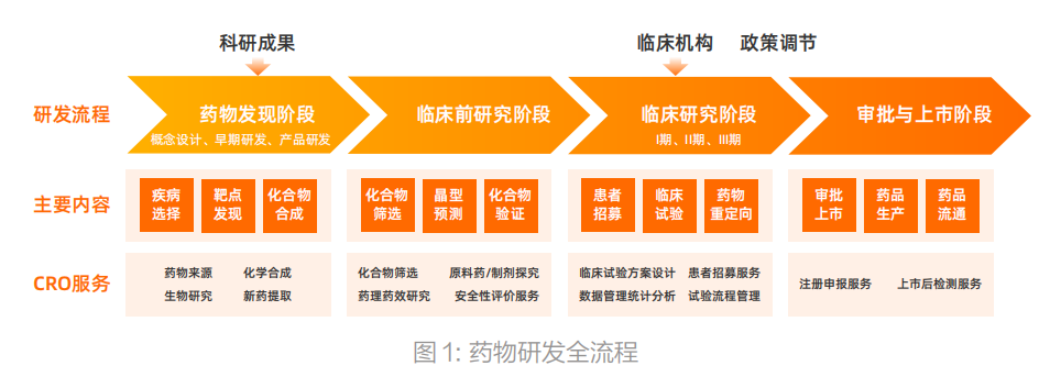 药物研发基本流程